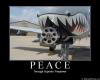 633518415374417637-Peace---Through-superior-firepower---Motivational-Air-Force-Poster.jpg