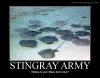 43730_stingray_army_123_1126lo.jpg